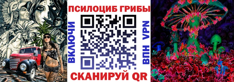 Псилоцибиновые грибы Cubensis  Лодейное Поле 